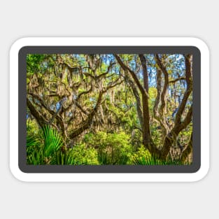 Cumberland Island National Seashore Sticker